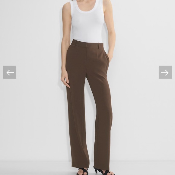 Aritzia Pants - NWT Aritzia Babaton Agency Brown Tailored Trousers